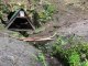 NAUČNÁ STEZKA BŘEZINSKÉ STUDÁNKY