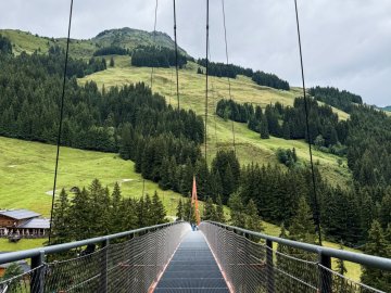 SAALBACH - Glemmtaler Baumzipfelweg