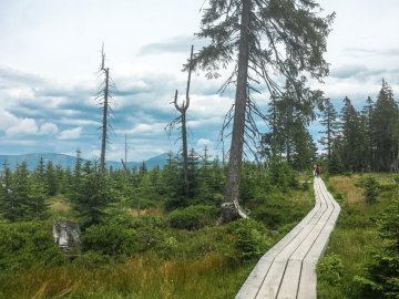 KRKONOŠE - ČERNOHORSKÉ RAŠELINIŠTĚ