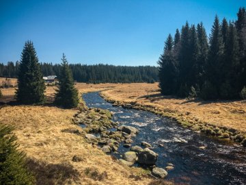 MODRAVA - TŘÍJEZERNÍ SLAŤ A RECHLE