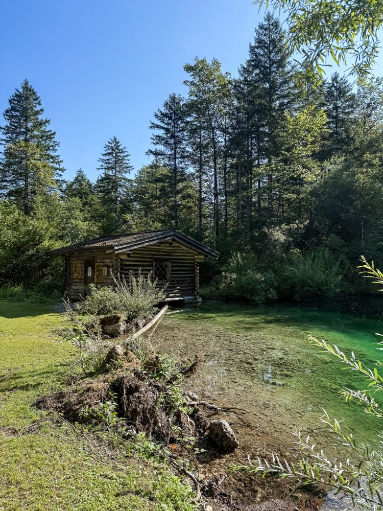 Bluntausee