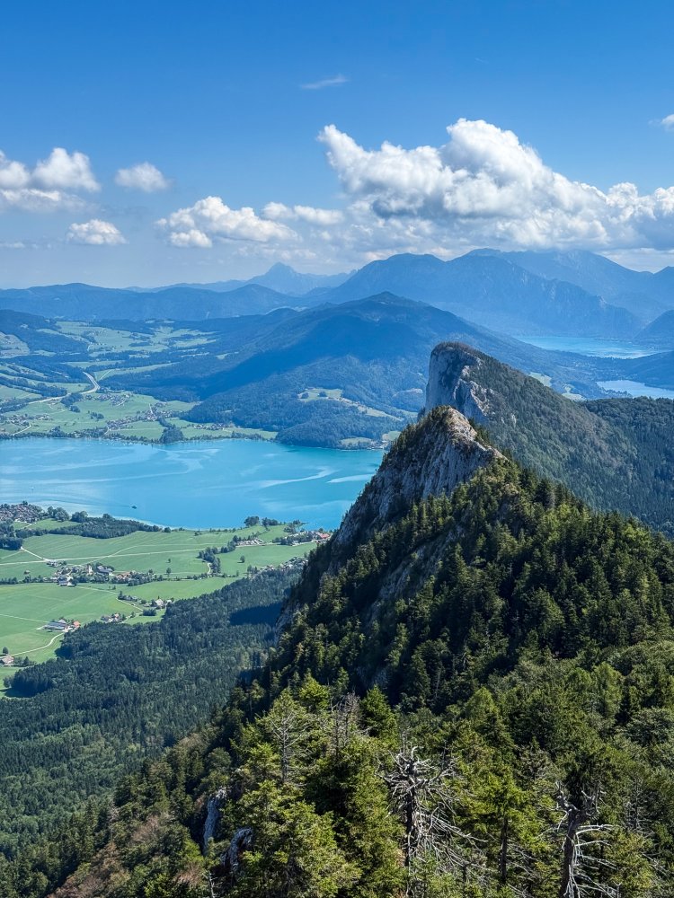 Schober